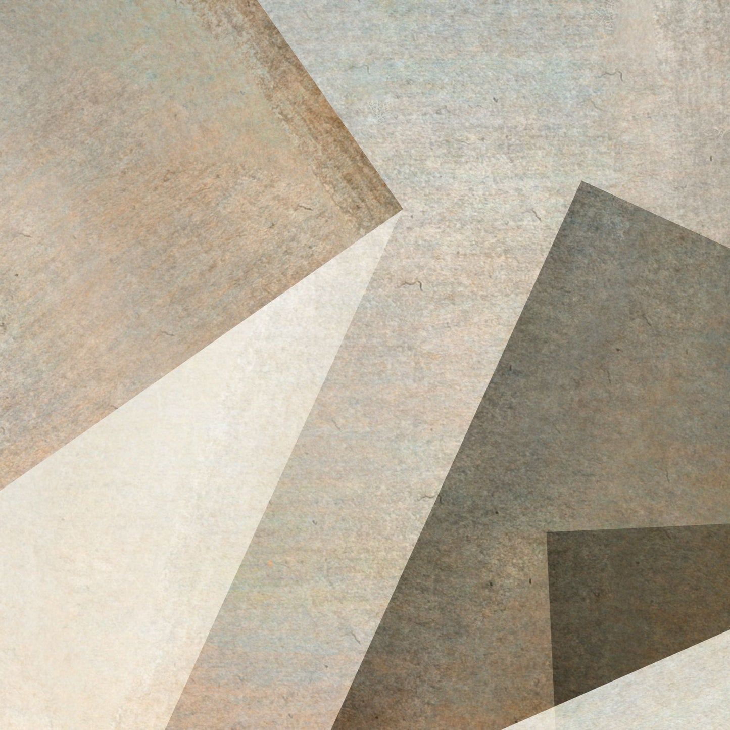 Neutrals Wall Murals